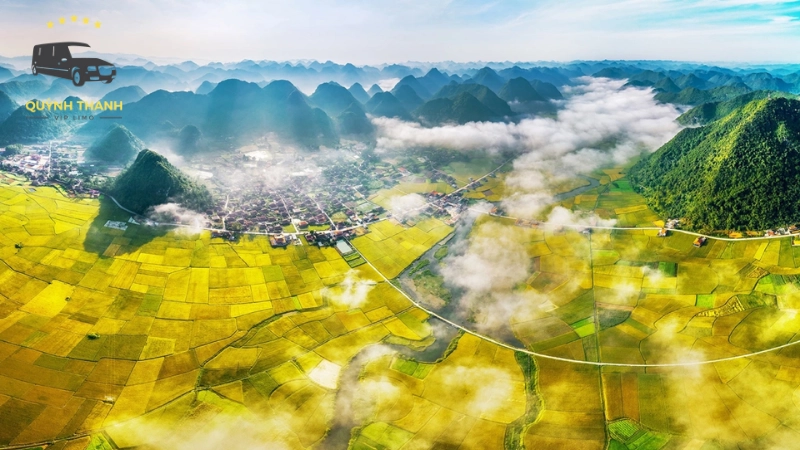 Mùa lúa chín vàng rực rỡ (Tháng 7 - 8, Tháng 11 - 12)